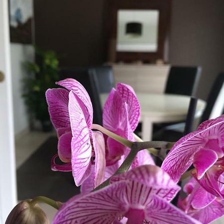 Nano House Apartment Begles Luaran gambar